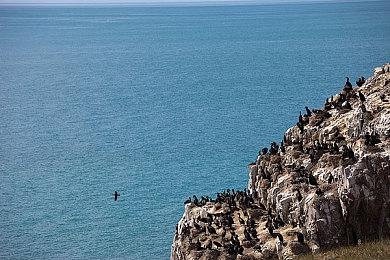 万代《龙珠游戏大赛 2022》公开 2022年2月在线举行